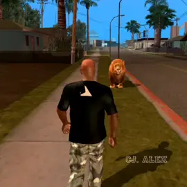 التيك توك اليومين دول: 