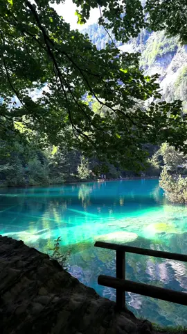 Planet Earth 🌏                                              #switzerland #blausee #natureaesthetic #nature #traveltok #fairypond #magicalplace #fairytaleaesthetic #aesthetic #travel #travelswitzerland #switzerlandnature #PlacesToVisit #viral #foryou #europe #Summer 