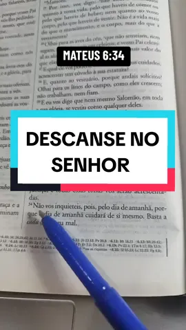 MATEUS 6:34 - DESCANSE NO SENHOR. 📖🙌🏻 @HINOS E PALAVRA 🎼 📖  #bomdia #proverbios #igreja #biblia #status #palavradedeus #cristaosnotiktok #fypシ #Deusefiel #mateus 