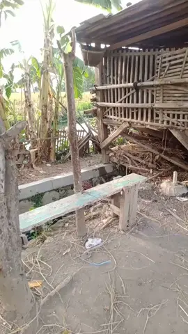 kekenyangan makn🤣 #bantusupprtnyakakak😇🙏  #fyppppppppppppppppppppppp 