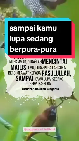 berawal dari pura-pura sampai mencintai nya🤲 #mencintaimu #cinta #suka #purapura #lupa #nabimuhammad #rasulullah #majlisilmu #♥️ #❤️❤️❤️ 