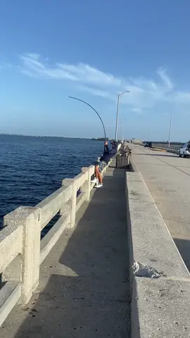 Gag Grouper Fishing Skyway fishing piers #Gaggrouper #gag #freeline #livebait #fish #fishing. #skywaymisfits #skywayfishingpier #fishlikemisfits #skywaybridge #bridgemasters #bridgefishing #reelqualitysra #foodforthefeesh #grouperfishing #grouperseason #grouper #sharkvato #bridgemonsters #seaguarfluorocarbon #tampabay #fish #fishing #fisherman #fishingislife #fishingaddict #tampabay #fish #fishing #fishlikeapro #fishtok #fishingtiktoks 