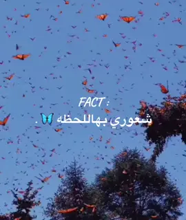 💛💛💛💛🦋🦋🦋🦋 #الحمدلله_دائماً_وابداً #فراشه_طايره #إذكرو_الله_يذكركم_وإستغفروه_يغفر_لكم #explore #repost 