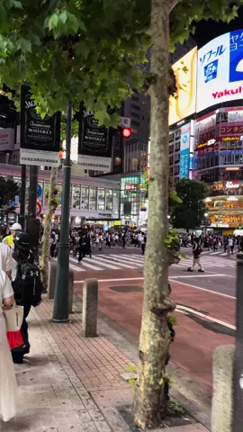 Shibuya by night #walkwithme #tokyo #japan #walking #shibuyacrossing #shibuya 