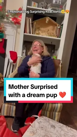 Mothers getting surprised with dream pups 😍❤️ #dog #doglovers #dogsoftiktok #puppy #surprise #gift  #emotional #hearttouching #fyp #foryou 