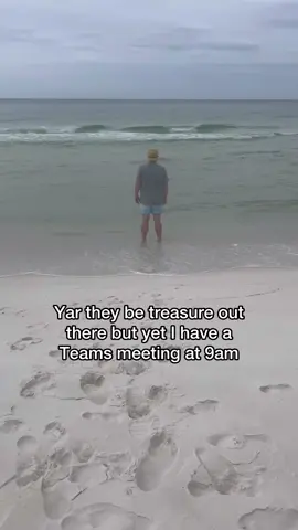 Pirates would never have to open Excel 😔  . . #middleclassfancy #middleclass #pirate #excel #teams #work #office #officelife #sea #shanty #meme #ocean #fyp #foryou 