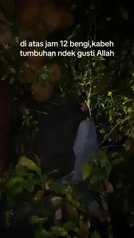 pokok tinggal milih#fypシ゚ #jowostory #jowopridee #masukberanda @Cho.co 