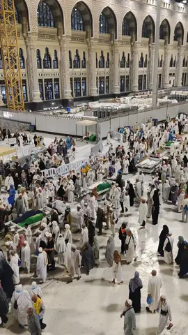 اے کاش مدینے میں مجھے موت یوں آیٔے🕋🤲 #hajj #saudiarabia #Makkah #islamic_video #foryou #foryoupage #مكه #foryou #trending #uk #alhamdulillah #unfrezzmyaccount 
