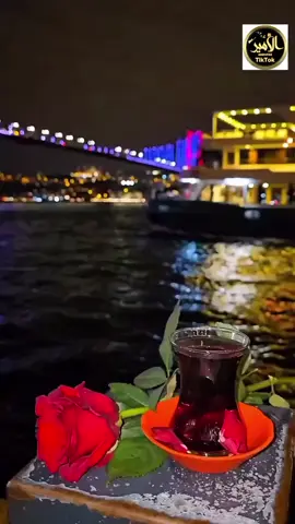 #‏عيناكِ بحرٌ لمْ أبلغ سواحلهُ  #‏بل تُهتُ فيه وأضعتُ سبيلي..  #سولفلي_عشير_الروح .  #عادل_خضور #وفيق_حبيب  #حماه #fypシ゚viral  #foryourpage 