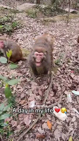 Daily vlog of my boring life 😴 part 2