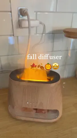 Its below 90 degrees you know whqt that means 😌🎃🍂🫶🏻 #diffuser #fall #himalayansalt 