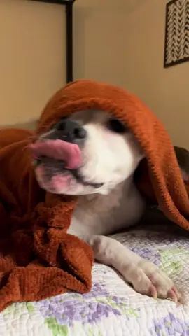 IM BUSY HAVING A WIGGLE BUTT ALL THE TIME @lauren ig 