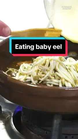 This #eel is a delicacy worth thousands of dollars. #seafood #spain