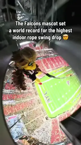 Wow 🔥 (via @Atlanta Falcons) #nfl #football #falcons #mascot #worldrecord 