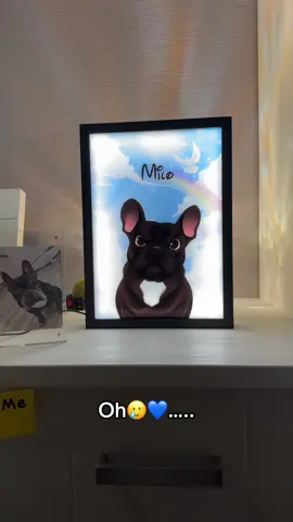 My jaw literally hit the floor😭…..  #doglovers #dogsoftiktok 
