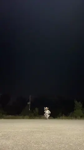 #thelightskinnedguydancinginthecowcostume