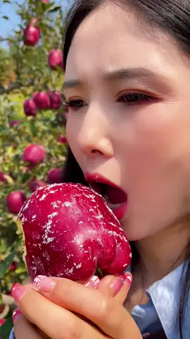 Harvester tasting red apple fruit in beautiful natural farm #fruit #fresh #tasting #apple #satisfying #harvest