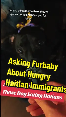 #election2024 #trump #kamalaharris #comedy #pitbull tiktok b@nned four of my accounts and now is throttling latest.  Hope ya'll see this