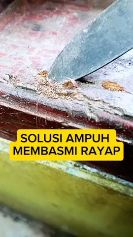 Solusi Ampuh Basmi Rayap Kayu dan Tanah #pembasmirayap #seroxil #obatrayap #promoguncang99 #wibgajian #gilagilajualan 