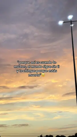 #💔🥺 #adondevaelviento #julietavenegas #primevideo #seriemexicana #fyppppppppppppppppppppppp #memo  #nadienosvaaextrañar 