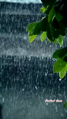 မိုးတေရွာတော့ တစ်ယောက်ယောက်ကို သတိရနေတယ်😌😌😌 ဝါဆို  #songcrd #song #myanmartiktok #myanmarsong #fyp #foryou #fypシ゚viral #မြန်မာသီချင်း #မိုးတေရွာတိုင်းမင်းကိုလွမ်းတယ်😪😚 #ဝါဆို #❤️❤️❤️ 