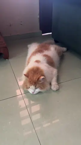 Muka malas layan budak-budak🚀🚀🚀🚀