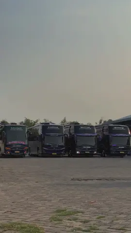 Purple Gank💜 #fyp #videobus #bismania #buspariwisata #adiputro #jetbus5 #purplegank #hinorm280 #phdtrans #phdtransnganjuk 