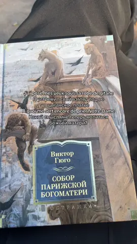 Перехотелось читать ее.. мой тгк: книжная муза💔  #книжныйтикток #BookTok #букток #соборпарижскойбогоматери #викторгюго 