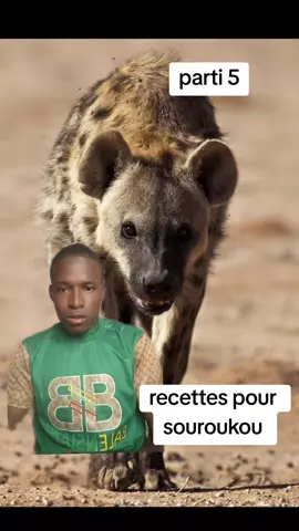 #bamana #161  comment avoir beaucoup de vues sur Tik Tok#