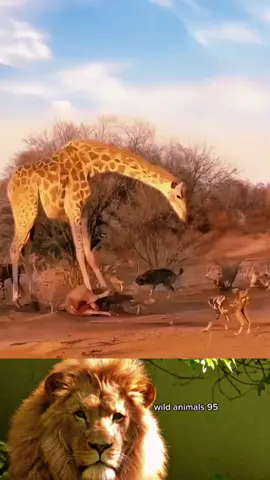 #wild #animals #trending #work #foryou #fyp 