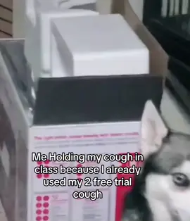 Real 😔 #dog #cough #relatable #foruoupage #real #itsnotfair #foryoupage #viral #blowup #fyp #fypviral #fypviralシ #fyppoppppppppppppppppppppppp 