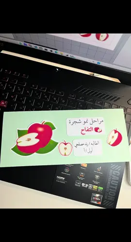 #مطويه #مطوية_علوم #مطوية_مدرسية #نمو_التفاح #تفاح #علوم_اولى_ابتدائي #النباتات_من _حولنا #حازان #ضمد #القمري #ابوعريش #صبيا 