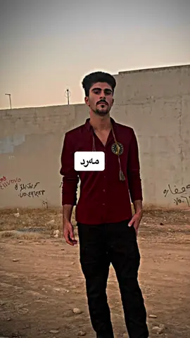 #CapCut #شێرەکەم #❤️ @ألله أكبر【مەرد】 #foryou #fyp #hawler #ئەکتیڤبن🥀🖤ـہہـ٨ــہ #بێرکۆتی_نوێ🦅 #مەرد_بێرکۆتی #شێرەکەی_بێرکۆت🎚️🇮🇶 #مەرد #قاید #دڵن_بێ_جیاوازیی😂💗 #berkot 
