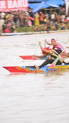 Buaya kuning dari indragiri  #pacujalur #pacujalur #indonesia #pacujalurkuantansingingi 