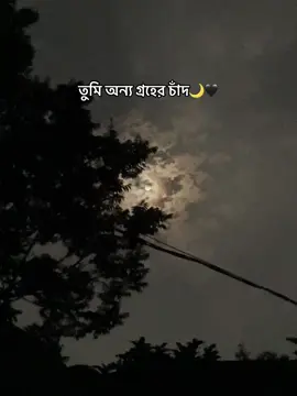 তুমি অন্য গ্রহের চাঁদ,আমার একলা থাকার ছাদ🌙🖤 #foryou #foryoupage #bdtiktokofficial #tiktokofficial #tiktokviral #viral #tiktok @TikTok @TikTok Bangladesh 