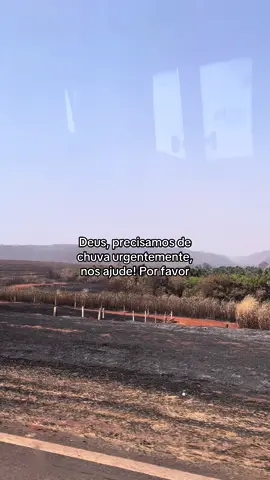 Rezem por chuva 🥹 #natureza #queimadas #fogo #tragedia #viraltiktok 