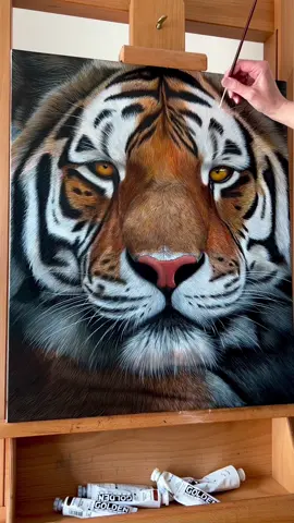 I feel another big cat painting coming on 🐅 👀  #wildlifeart #wildlifeartist #wildlifepainting #tigerart #tigerpainting #bigcatart 