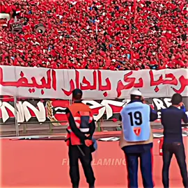 كيبقى احسن كلاش في تاريخ الإلتراس❤️🤍🤩.        ‎‏#aligntmotion #تيم_المغاربة🇲🇦🔥 #fpy  #fpyツ #casablanca #viral #foryou #fyp #viralvideo #cupcut #تيم_الوداد #morocco #wydad #winners #football #cr7 #الوداد_الرياضي #wydadcasablanca #الودادالبيضاوي #المنتخب_المغربي #المغرب🇲🇦 #المغرب #botolapro #الوداد 