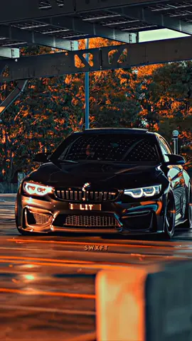 La Mama de la Mama 🕺| 🎥:@THE-LOWDOWN.com  #m4 #sound #teamfx⚜️ #car #bmw #edit 