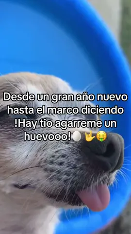 Buen venido doc tops najajaj🤟