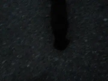 it's youu