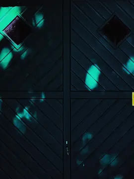 Today‘s something 🌅#vibe #videocreator 