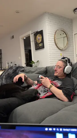 Im talkin bout the cat 