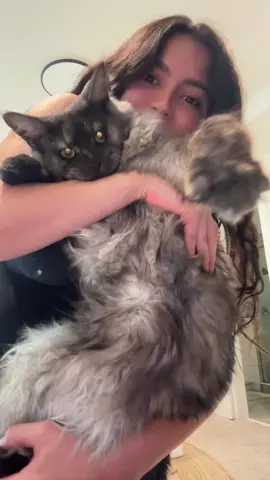 he doesnt like when i become a bop