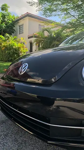 We brought this bettle back to life with the power of a quality detailer #fyp #foryoupage#fypageシ #fypツ #detail #detailer #detailing #mobiledetailing #usa #florida #miami #trump #kamala