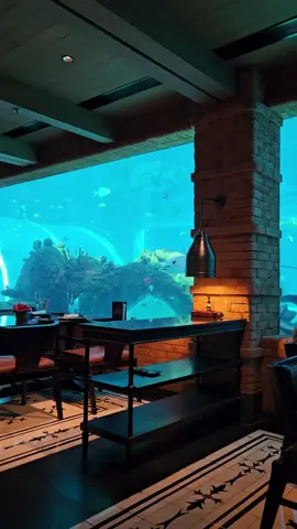 menikmati #theapurvakempinskibali #koralrestaurant #theapurvakempinski #bali #fyp 