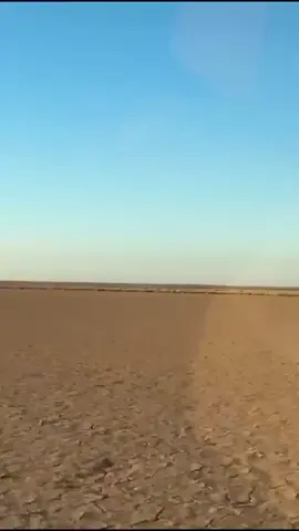 خبرا التربه#حرة_الحره #طبرجل_الجوف_القريات #viral 