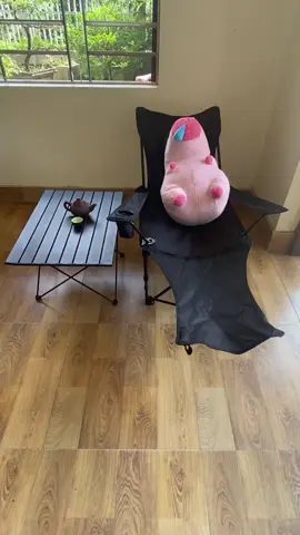 Bàn Gấp Gọn Dã Ngoại#giadungtienich #xuhuong 