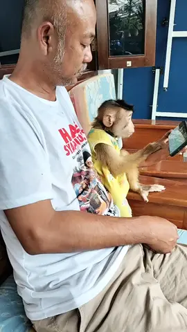 Serius amat nonton HP si Cici Carolina #nonton  #pintar  #sahabatenergiku  #viralin  #bekasihits  #bestie  #monyetlucu 