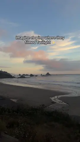 You can - and its a free wedding location 🙏🏻 #oregonelopementphotographer #oregoncoast #oregoncoastelopement #oregoncoastelopementphotographer #indianbeach #twilightbeach #forks #forkswashington #twilightmovie #twilighttiktok #twilightmovielocation 